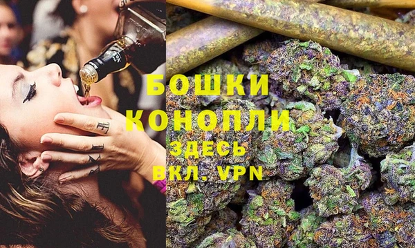 стафф Дмитров