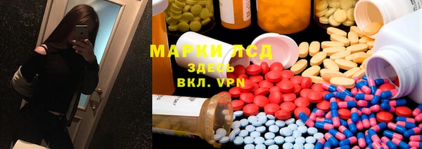 меф Ельня
