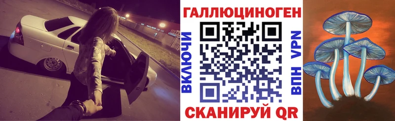 мориарти телеграм  Ангарск  Псилоцибиновые грибы Psilocybine cubensis 